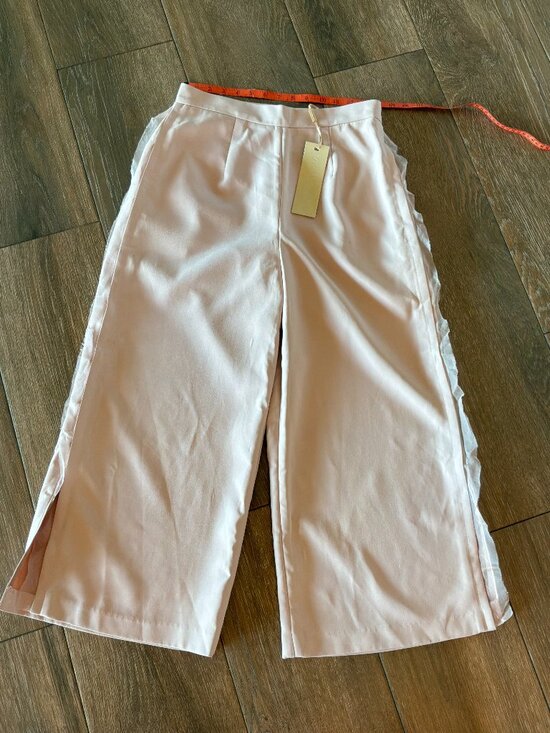 Vivian Chan Pants - NWT Vivian Chan Craner dusty pink, wide leg, silk side seam dress pants size 28